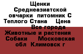 Щенки Среднеазиатской овчарки (питомник С Теплого Стана) › Цена ­ 20 000 - Все города Животные и растения » Собаки   . Московская обл.,Климовск г.